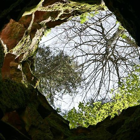 Espaco Origem Sintra Eksteriør bilde