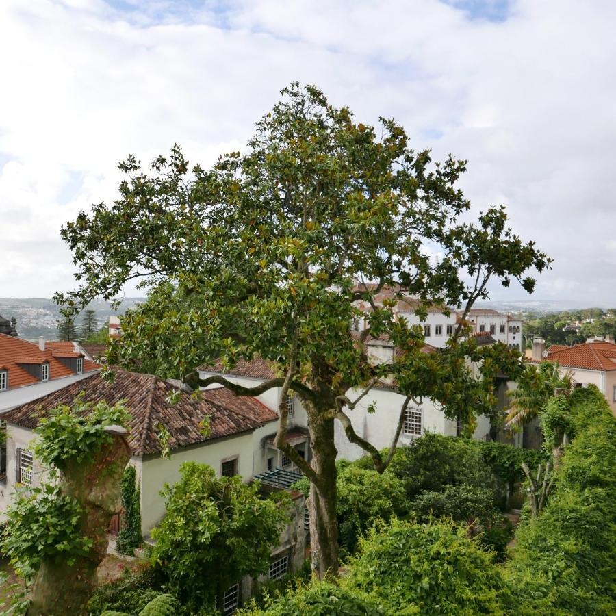 Espaco Origem Sintra Eksteriør bilde
